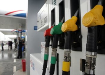 Izvor: RTS / Autor: Dragana Biberović  / Foto: Tanjug/Sava Radovanović