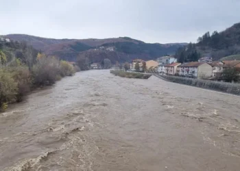 IZVOR: RINA, FOTO: RINA