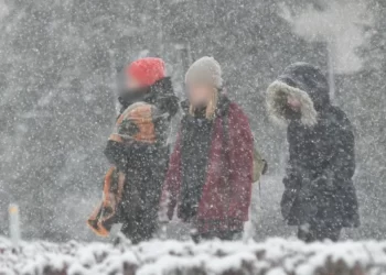 Izvor: Alo, Foto: Pixabay.com