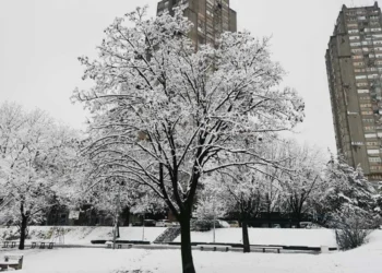 IZVOR: NOVOSTI, FOTO: PINK.RS