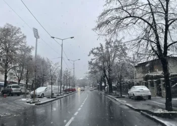 IZVOR: TELEGRAF, FOTO: PINK.RS