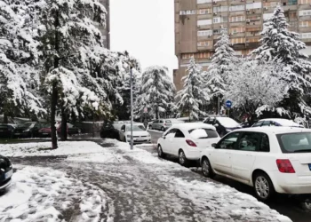 IZVOR: TELEGRAF, FOTO: PINK.RS
