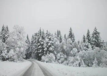 IZVOR: ALO, FOTO: TANJUG/FOTO STA/ BOŠTJAN PODLOGAR