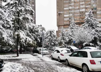 IZVOR: TANJUG, FOTO: PINK.RS