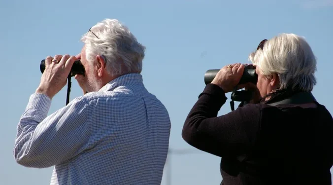 IZVOR: KURIR, FOTO: PIXABAY.COM