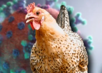 IZVOR: TELEGRAF.RS, FOTO: UNSPLASH.COM