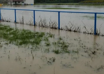 IZVOR: KURIR/VIJESTI, FOTO: RINA