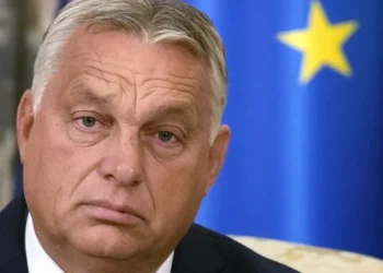 IZVOR: NOVOSTI ONLINE, FOTO: AP PHOTO/DARKO VOJINOVIĆ