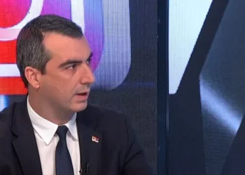 IZVOR: PINK.RS, FOTO: TV PINK PRINTSCREEN