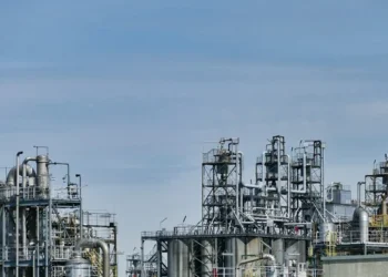 IZVOR: NOVOSTI, FOTO: PIXABAY.COM