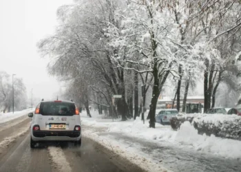 IZVOR: TELEGRAF, FOTO: TANJUG/FOTO STA/ BOŠTJAN PODLOGAR