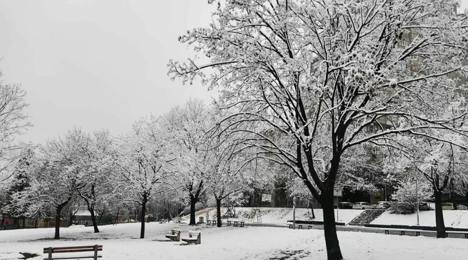 IZVOR: KURIR, FOTO: PINK.RS