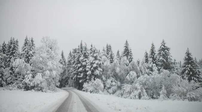 IZVOR: OBJEKTIV/RINA, FOTO: TANJUG/FOTO STA/ BOŠTJAN PODLOGAR