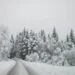 IZVOR: OBJEKTIV/RINA, FOTO: TANJUG/FOTO STA/ BOŠTJAN PODLOGAR