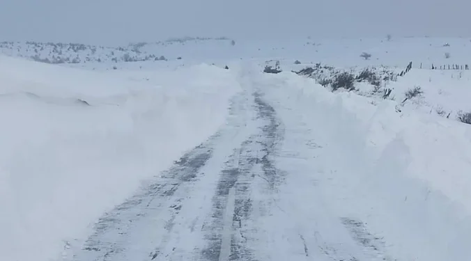 IZVOR: BLIC, FOTO: RINA