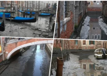 IZVOR: 24SEDAM, FOTO: PRINTSCREEN YOUTUBE/@LOCALTEAM
