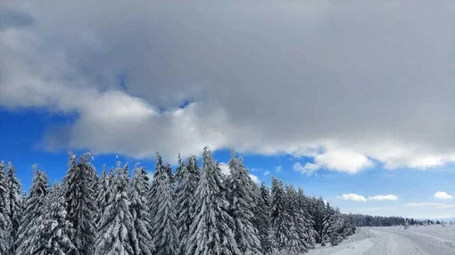 IZVOR: BLIC.RS, FOTO: RINA