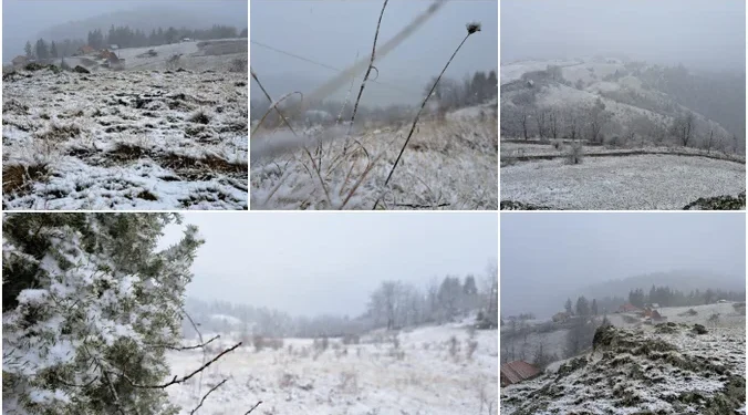 IZVOR: KURIR.RS, FOTO: RINA