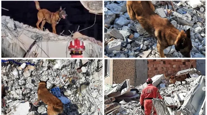 IZVOR: BLIC, FOTO: INSTAGRAM.COM/MUP SRBIJE