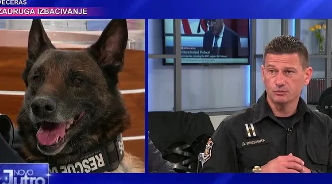 IZVOR: PINK.RS, FOTO: TV PINK PRINTSCREEN
