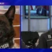 IZVOR: PINK.RS, FOTO: TV PINK PRINTSCREEN