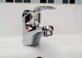 IZVOR: TELEGRAF, FOTO: PIXABAY.COM