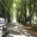Izvor: Lasta.rs