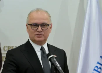 FOTO: FOTO/PEĐA MITIĆ