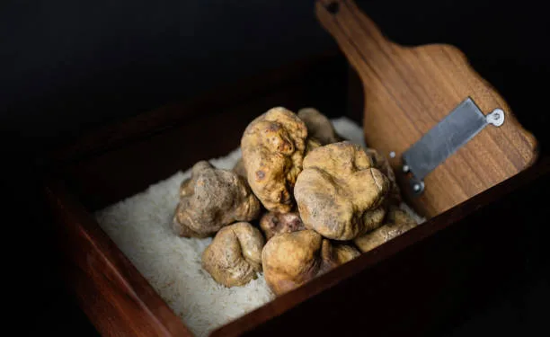 Foto:istockphoto