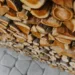 Drvo i dalje najpopularnije gorivo za grejanje u Srbiji