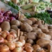 Foto: Shutterstock