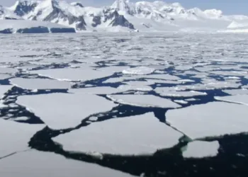 FOTO: PRINTSCREEN YOUTUBE/SEEKER