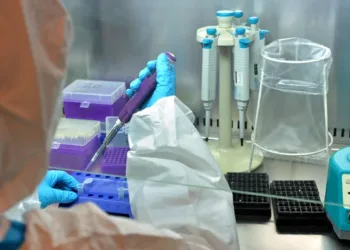 FOTO: BETA/SAŠA ĐORĐEVIĆ