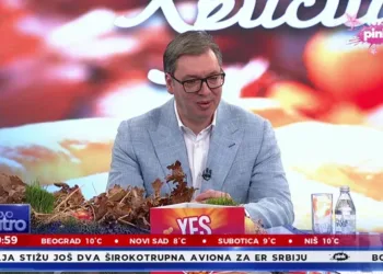 IZVOR: PINK.RS, FOTO: TV PINK PRINTSCREEN