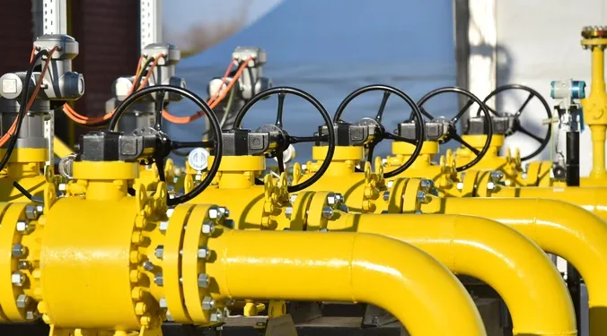 FOTO: TANJUG/DIMITRIJE NIKOLIĆ