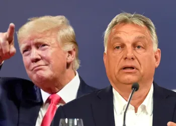 FOTO: TANJUG/DRAGAN KUJUNDŽIĆ