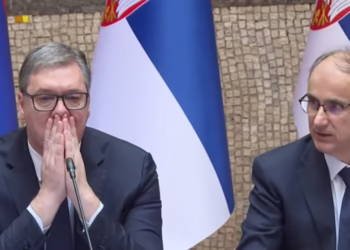 Foto: skrinshot Vlada Srbije