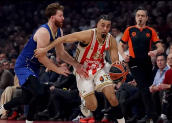 kk crvena zvezda