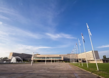 Foto: shutterstock.com/BalkansCat, arhiva