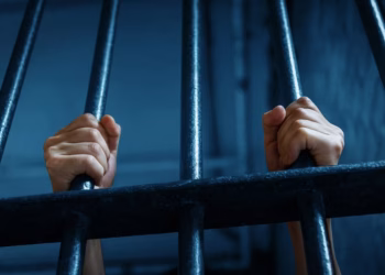 Foto: Shutterstock.com/hxdbzxy, ilustracija