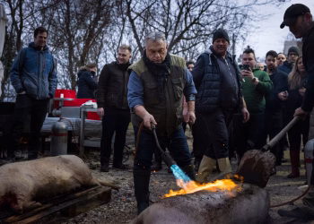 Foto: Viktor Orban/Fejsbuk video