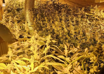 Foto: Ministarstvu unutrašnjih poslova Srbije