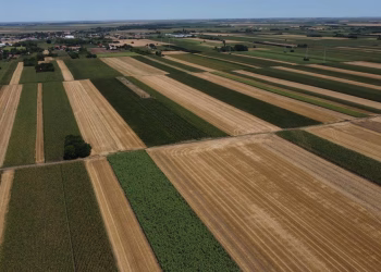 Foto: minpolj.gov.rs