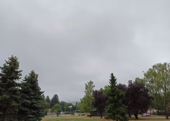 Foto: domaći snimak