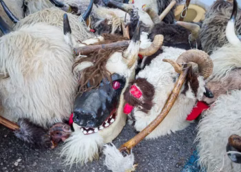 Foto: Unsplash