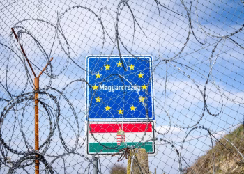Foto: Shutterstock.com/BalkansCat, ilustracija