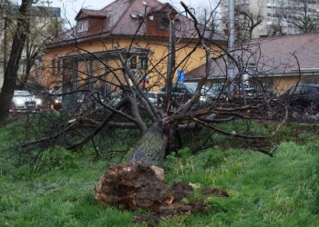 Foto: TANJUG/ FOTO HINA/ LANA SLIVAR DOMINIĆ
