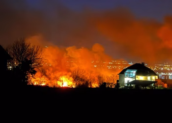 Foto: Tanjug/Saška Drobnjak