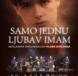 Vizual: Nevladina organizacija Vlade Divljana