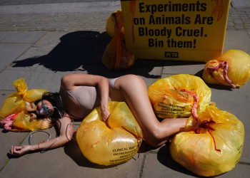 Foto: Tanjug/ (AP Photo/Kirsty Wigglesworth)